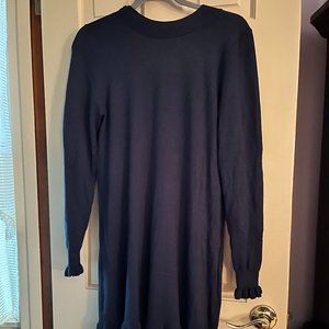 Loft Long Sleeve Sweater Dress